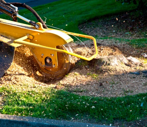 stump grinding service