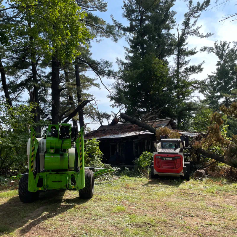 tree removal work using small tree machinery